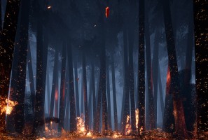 the forest in ashes